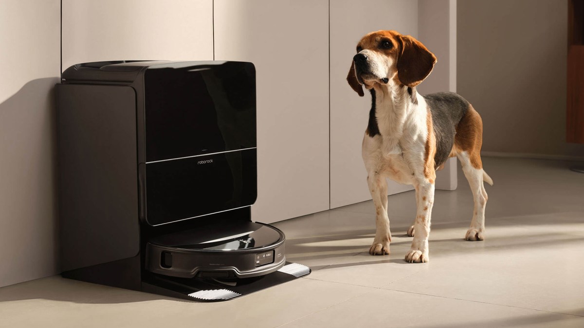 A dog standing next to a Roborock Saros 10R robot vacuum