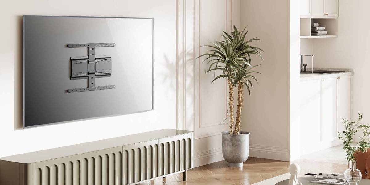 A plant in a pot next to a tv